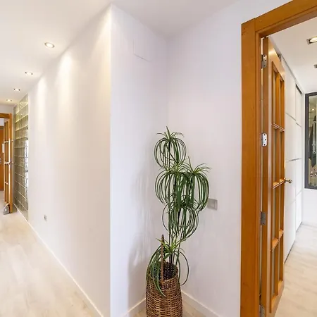 Fantastic Penthouse 270m2 With Amazing Sea Views Roquetas de Mar